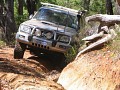IMG_3411.jpg