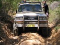 IMG_3423.jpg