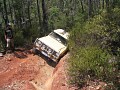 IMG_3431.jpg