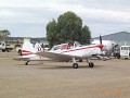 P1003434.jpg