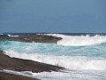 IMG_2508.jpg