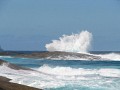 IMG_2509.jpg