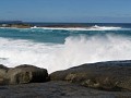 IMG_2515.jpg