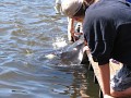 IMG_2539.jpg