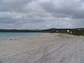 IMG_2550.jpg