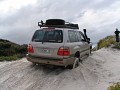 IMG_2565.jpg
