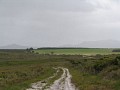 IMG_2575.jpg
