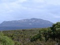 IMG_2579.jpg