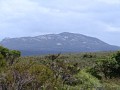 IMG_2580.jpg