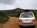 IMG_2583.jpg