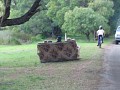 IMG_2585.jpg