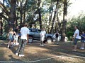 PB280220.JPG
