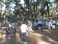 PB280231.JPG