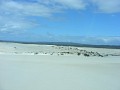 DSCF0588.jpg