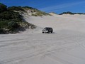 IMG_7023.jpg
