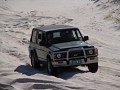 IMG_7070.jpg