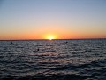 IMG_6865.jpg