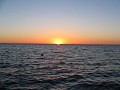 IMG_6866.jpg