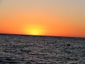 IMG_6870.jpg