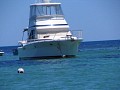 IMG_6892.jpg