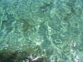 IMG_6898.jpg