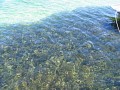 IMG_6900.jpg