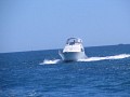 IMG_6914.jpg