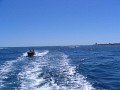 IMG_6915.jpg