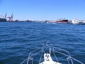 IMG_6920.jpg