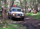 IMG_7584.jpg