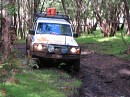 IMG_7585.jpg