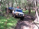 IMG_7586.jpg