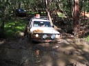 IMG_7591.jpg