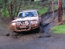 IMG_7595.jpg