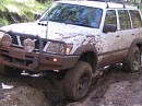 IMG_7600.jpg