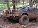 IMG_7619.jpg