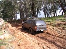 IMG_7624.jpg