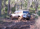 IMG_7648.jpg