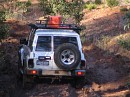 IMG_7651.jpg