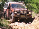 IMG_6641.jpg