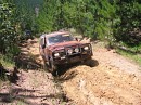 IMG_6645.jpg