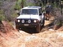 IMG_6650.jpg