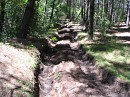 IMG_6685.jpg