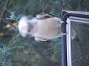 IMG_6718.jpg