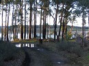 IMG_2792.jpg