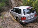 IMG_2799.jpg