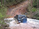 IMG_2801.jpg