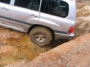 IMG_2844.jpg