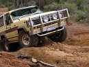 IMG_2849.jpg