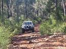 IMG_2879.jpg